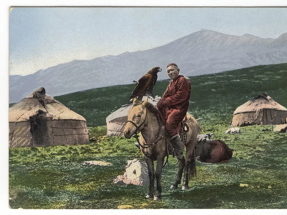 Казахская лошадь